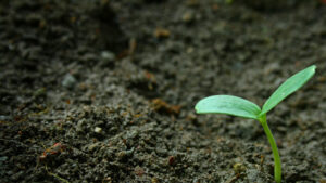 独自性を生み出す”らしさ”。価値観の見つけ方